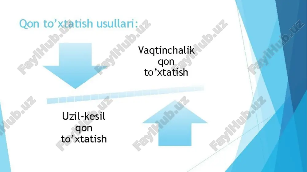 topografik anatomya va operativ xirurgiya - Page 5