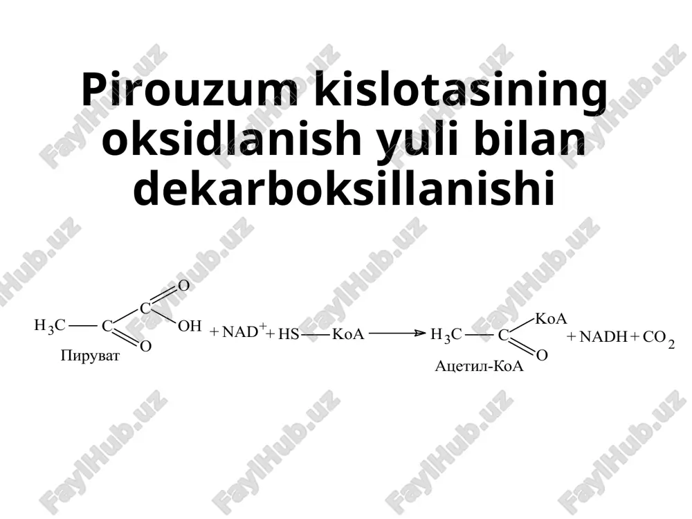 i. 7-chi reaksiya. bu reaksiyada fumarat qaytar yo’l bilan suv biriktirib malatga (olma kislotasiga) aylanadi. reaksiyani fumaraza fermenti tezlashtiradi. fumaraza kristallik holida olingan, uning molekulyar massasi 200000 ga teng bulib, 4-ta kichik birlikdan tuzilgan. fumaraza stereospetsifik xossasiga ega bulib uning stereoizomeri bo’lgan maleinat kislotasi bilan reaksiyaga kirishmaydi. 8-chi reaksiya. bunda malat oksaloatsetatgacha oksidlanadi. reaksiyani malatdegidrogenaza (mdg) fermenti tezlashtiradi. xujayralarda mdg ning ikki xil shakli mavjuddir, ulardan biri mitoxondriyada, ikkinchisi esa sitoplazmada boladi. ularning molekulyar og’irligi bir xil bo’lib, aminokislota tarkibi, elektroforetik xossasi va katalitik aktivligi bilan bir-biridan farq qiladi. mitoxondrial mdg ning bir xil izofermenti bor. tstk v itoge za odin oborot tsikla obrazuetsya: dve molekuli so2; tri molekuli nad+ vosstanavlivayutsya do nadn2; odna molekula fad+ vosstanavlivaetsya do fadh2; sinteziruetsya odna molekula gtf iz gdf i pi. katabolizmning umumiy yo’llari bilan elektronlar tashish zanjirining bog’liqligi limon kislota sikli elektron tashish zanjiri bilan bog’liq bo’lib, energiyaning asosiy qismi shu sikldagi qaytarilgan …