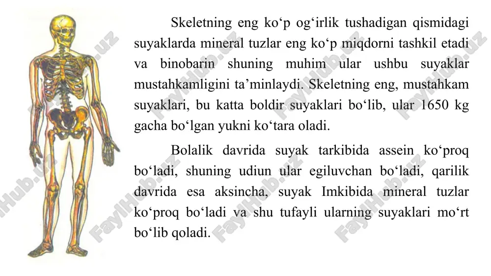 moddiy soha, doira esa ma'naviy soha sifatida talqin etiladi. tasvirlangan odamning tanasi bilan raqamlarning aloqasi koinotning markazida bir hil kesishishdir. inson qomatining markazi kindik sohasi esa yer markazi yadroni borligining belgisi edi. eramizdan avvalgi vasrda qadimgi yunon haykaltaroshi poliklet inson gavdasini tasvirlashda taqsimlash nisbati sifatida bosh o’lchamidan foydalanganligi manbalarda keltirildi siz odamning boshini tasvirlaganingizda, bunga ishonch hosil qilishingiz kerak nisbat uning og'zi, burun, quloqlar va ko'zlar o'rtasida aniq va to'g'ri ko'rsatilgan. boshliqning tuzilmasiga alohida e'tibor bering, agar qilmasangiz, uning asosiy xususiyatlarini qadrlang, agar siz buni qilmasangiz, haqiqatan ham doimiy portretga ega bo'lolmaysiz. image1.png image2.png image3.png image4.png image5.png image6.png image7.png image8.png image9.png image10.png image11.png image12.png image13.png /docprops/thumbnail.jpeg