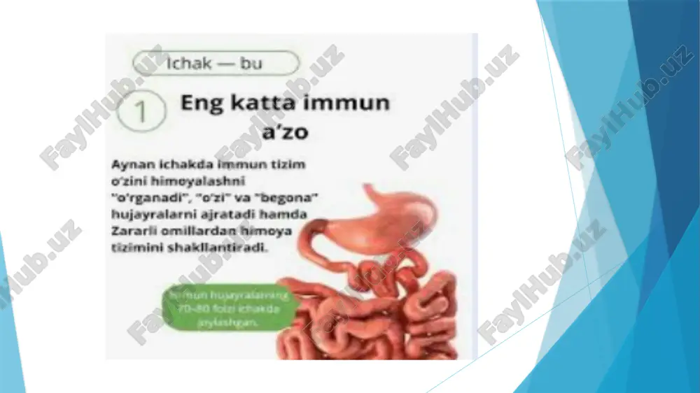 hazm tizimi faoliyatini o'rganish - Page 5