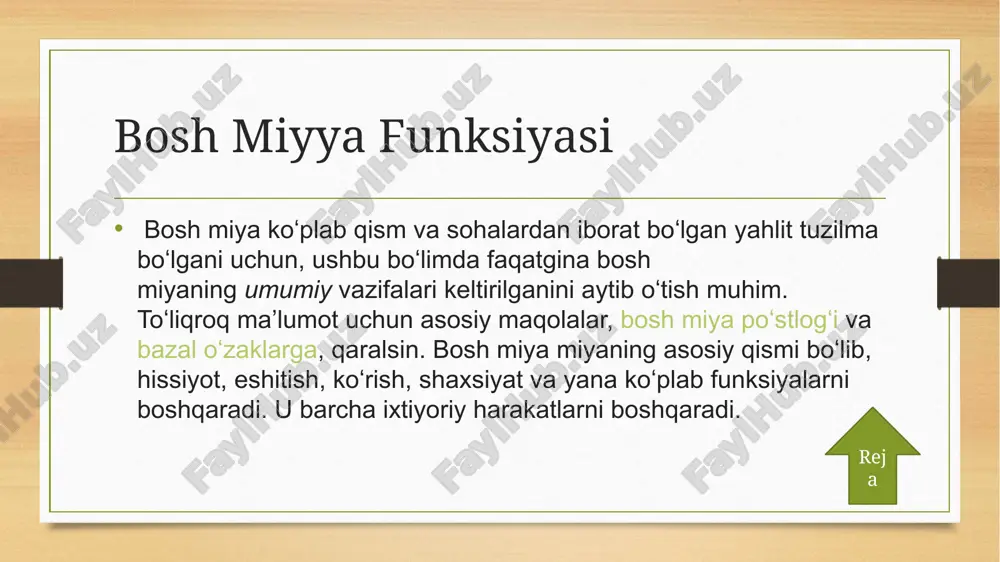 bosh miyya - Page 5