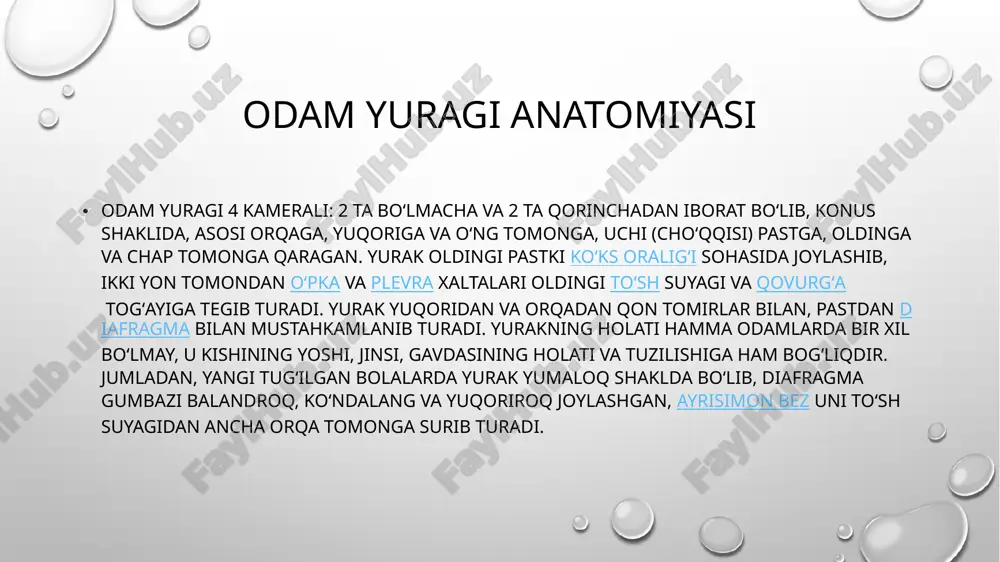 yurakninghayotdagiahamiyati - Page 5