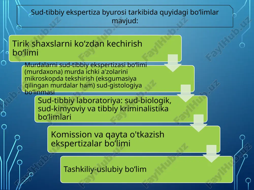 sudekspertizasini tashkillashtirish - Page 5