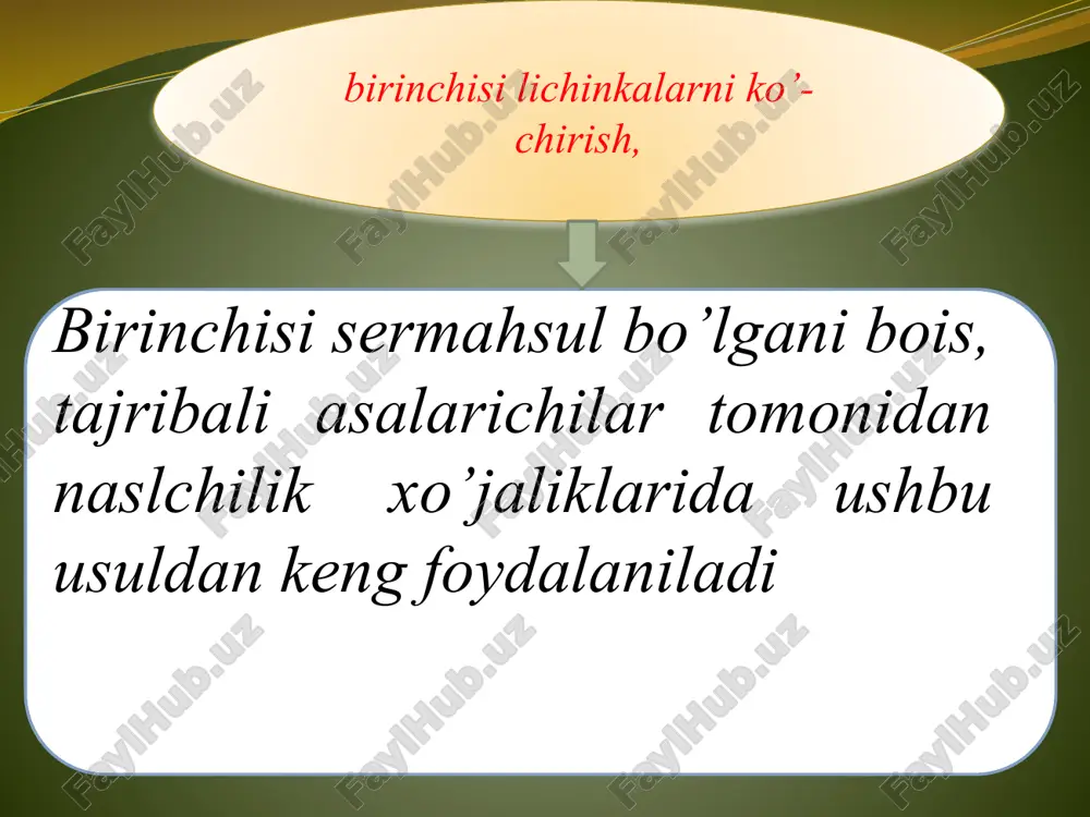 sog’lom va baquvvat bo’lishlari kerak. urug’langan ona asalarilar olishning optimal davri jismonan to’laqonli erkak asalarilarning amaldagi miqdo­riga bog’liq. janubiy hududlarda bu jarayon asosan aprelning ikkinchi-uchinchi o’n kunlariga to’g’ri keladi. odatda, ona asala­rilar o’z hayotida bir marta va birvarakayiga bir nechta (7-10) erkak asalarilar bilan qovushadi va urug’ uning spermateka­sida yig’iladi. asalarizordagi erkak asalarilarning faro­vonligi ona asalarilarning sifatiga ta’sir ko’rsatadi. ona asalari etishtiriladigan xo’jaliklarda sifat­li urug’langan ona asalarilarni olish uchun ko’pincha to’rt o’rinli mikronukleuslardan foydalaniladi. har bir oi­laning uchib chiqish joyi (tuynugi) har bir tomonga bitta­dan to’g’ri keladi va ular har xil ranglarga bo’yaladi. har bir mikronukleusning bo’limida standart ramkaning to’rt­dan bir qismiga to’g’ri keladigan 2-3 ta ramkachalar bo’la­di. bu usulda urug’langan ona asalarilarni olish uchun 100-150 g asalari kerak. bu usulni qo’llashdagi asosiy kamchi­lik shuki, urug’langan ona asalarilarni tor joyda, uzoq ushlab sun’iy usulda ona asalari etishtirish jarayoni asalarichilar amal­da asalarizorga ona asa­larilarni etkazish uchun asosan standart ramkali nukleuslardan foydala­nishadi. …