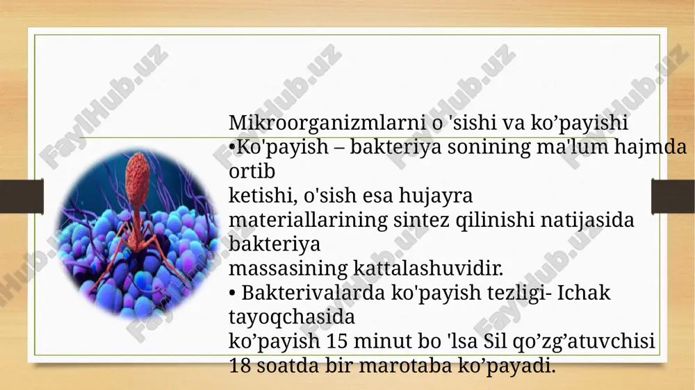 bakteriyalarning fiziologiyasi - Page 5