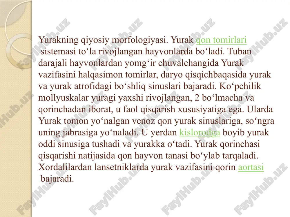 yurakqon-tomirtizimi biokimyosi - Page 5