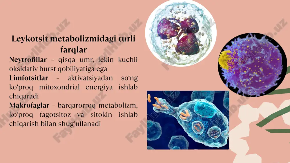 leykotsitlar xususiy metabolizmi - Page 5