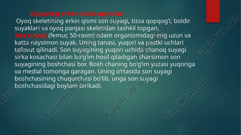 oyoqsuyaklari - Page 5