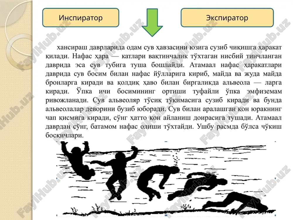 shriyoti 1996-yil. 2. e.s.shamsiyev sud tibbiyoti: toshkent – 2004. 3. iskandarov a.i. kuldashev d.r. sud-tibbiyoti: “meriyus” toshkent - 2009 4. yallayev x.n. sud tibbiyoti va psixiatriyasi. darslik. ii jild. sud psixiatriyasi.-t.: o`zbekiston respublikasi iiv akademiyasi - 2012. 5. sud tibbiyoti fanlari: oliy o`quv yurtlari uchun darslik. –t.: tdyi nashriyoti 2008. 6. www.wikipediya.uz 7. www.mymedic.uz image2.png image3.png image4.jpg image5.jpg image6.jpg /docprops/thumbnail.jpeg