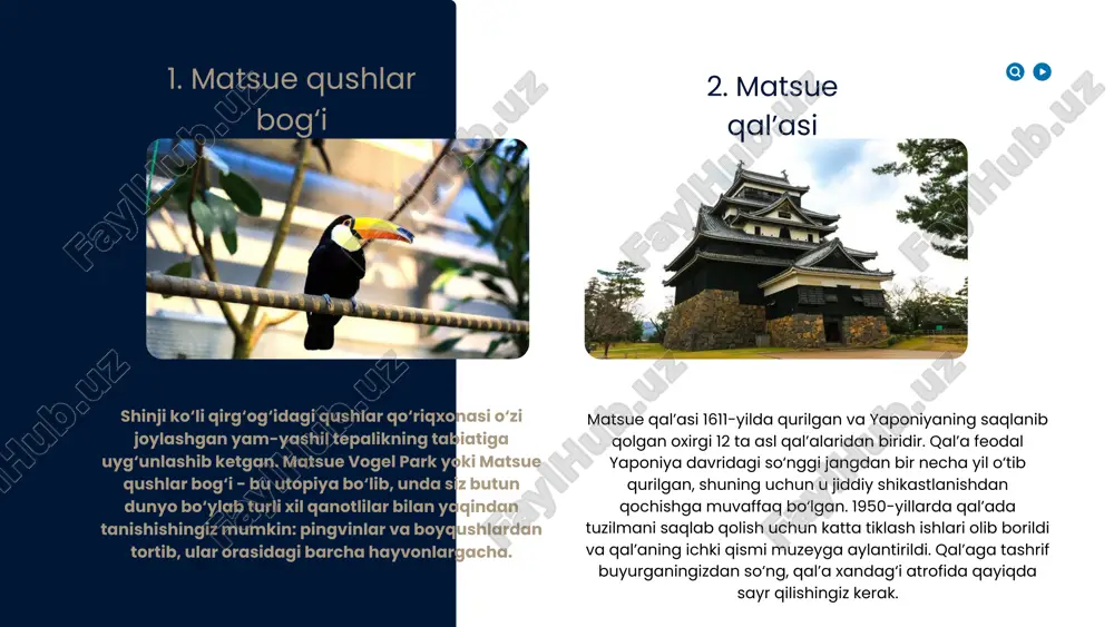 mamlakatshunoslik. shimane - Page 5