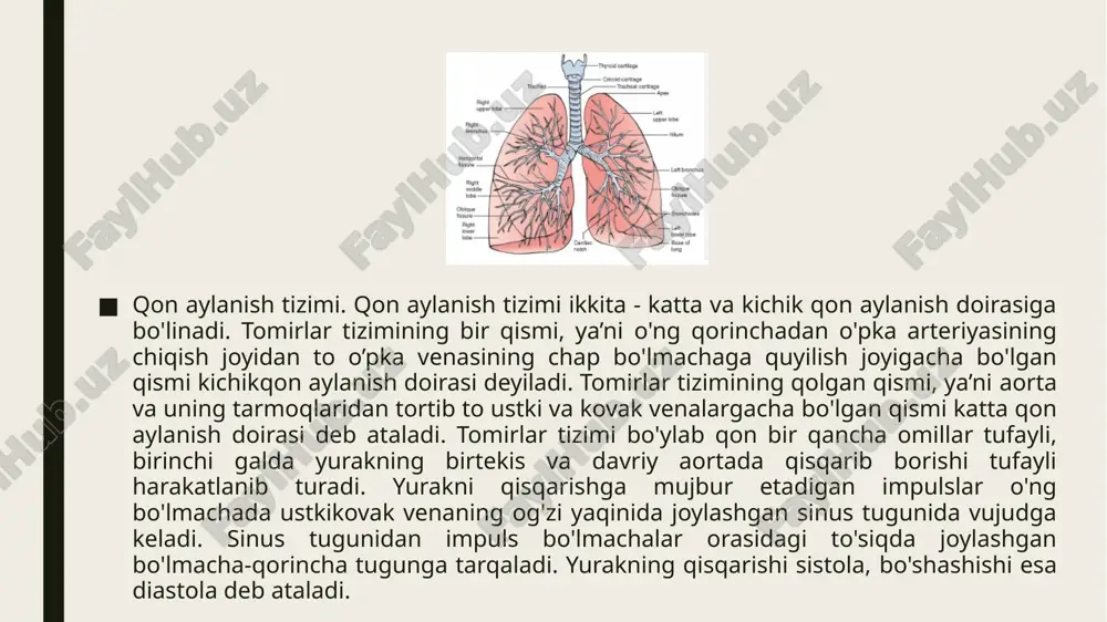 ardan),bemor yotgan paytda shish bel va dumg'aza sohasida aniqlanadi. sianoz. lablar, burun uchi, barmoqlar, tirnoqlar ko'karadi va yurak yetishmovchilik belgilaridan biri bo'lib, shishdan oldin kelib chiqadi. qon aylanish tizimini tekshirish usullari so'rab-surishtirish. qon aylanish sistemasi zararlanganda patsiyent hansirash, vaqti-vaqti bilan bo'g'ilib qolish, yurak o'ynog'i va yurakishida to'xtalish bo'lib turishi, yurak sohasi hamda to'sh ortidagi og'riqlar, yo'tal, qon tuflash, badanida shishlar borligidan noliydi. bunda bemorlarda markaziy nerv sistemasiga aloqador funksional o'zgarishlar kuzatiladi, bular darmonsizlik, tez charchab qolish, uyqu buzilishi, bosh og'rig'i va bosh aylanishi ko'rinishida bo'ladi. hansirash ko'pincha chap qorincha yetishmovchiligining alomati bo'lib hisob-lanadi. yetishmovchilikning dastlabki davrlarida odam jismonan zo’r berganida, tez yurganida, zinadan ko'tarilib chiqqanida hansiraydi. yurak kasalliklarida hansirash paydo bo'lishining sababi – gazlar almashinuvi buzilib, chala oksidlangan mahsulotlarning qonda to'planib qolishidir. bo'g'ilish xurujlari: odatda to'satdan kechasi tutib qoladi. bo'g'ilish xuruji tutgan paytda bemor birdan havo yetishmay qolganini sezadi, ko'kragida g'arg'araga o'xshagan xirillashlar paydo bo'ladi, qon aralash balg'am tushadi. yurak …