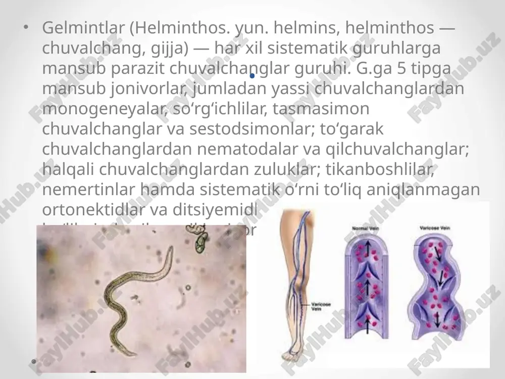 i. to'g'ri ichak shikastlanganda tenesmus paydo bo'ladi - defekatsiya qilish uchun og'riqli soxta istak. tana harorati normal yoki o'rtacha darajada ko'tariladi. . zaiflik va buzuqlik tanadan suvsizlanish va ozuqa moddalarini yo'qotish tufayli yuzaga keladi. 1-1,5 oy ichida simptomlar susayadi va kasallik surunkali holatga keladi. amebiazni davolash qo'shimcha antimikrobiyal preparatlarni (intestopan, tetratsiklinlar), diareyani, shishiradi, enterosorbentslarni va vitaminlarni bartaraf etish uchun dori-darmonlarni o'z ichiga oladi. xo'ppozlar paydo bo'lganda, jarrohlik davolash kerak. teri shakli uchun krem ​​shaklida metronidazol qo'shimcha ravishda buyuriladi. . amebiazning qo'zg'atuvchisi bir hujayrali entamoeba histolytica organizmidir. uning rivojlanishining 2 bosqichi bor - vegetativ va kist (dam olish bosqichi). mikroorganizm bemor yoki tashuvchining najasi bilan chiqariladi va atrof-muhitga kiradi. kasallikning rivojlanishi amebiazning qo'shimcha sabablari bilan qo'zg'atiladi. xavf guruhi: antisanitariya sharoitida issiq mamlakatlarda qolish; yopiq guruhda shaxsiy gigiena qoidalariga rioya qilmaslik; immunitet tanqisligi yoki og'ir birga keladigan kasalliklar. amyobiazning belgilari va diagnostikasi bemor bezovtalik, zaiflik haqida tashvishlanadi va harorat odatda ko'tarilmaydi. shilliq …