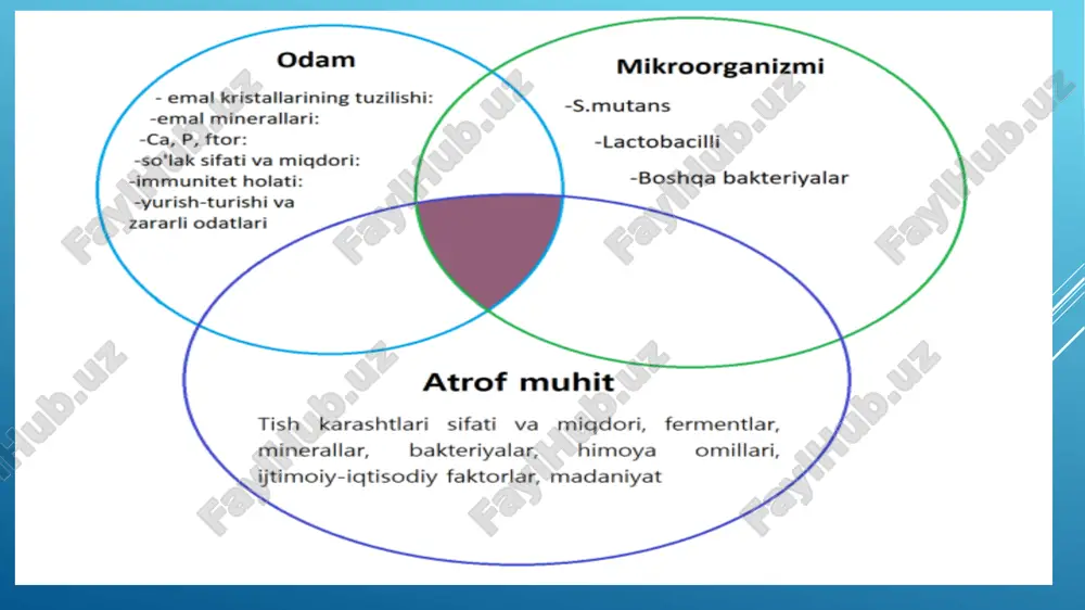 imoldan xoli emas. bu ta'sirlovchilarni ta'siri to’xtatilishi bilanoq og’riq to’xtaydi. tish ko’rikdan o’tkazilganda, uncha chuqur bo’lmagan karioz bo’shlig’i ko’rinadi. bo’shliqni zondlaganimizda pigmentlangan, yumshoq dentin aniqlanadi. pigmentlashgan yumshoq dentin fissuralarda joylashsa, zond ushlanib qoladi. surunkali kechuvchi o’rta kariesda zondlanganda kavakning tubi qattiq, devorlarida esa og’riq yo’q, kirish qismi keng bo`ladi. o’tkir kechuvchi o’rta kariesda esa karies kovakni devorlari va tubida dentin to’qimasining yumshoqligi kuzatiladi, kirish qirg’oqlari notekis, zondlanganda emal– dentin chegarasi bo’ylab og’riq aniqlanadi. chuqur karies chuqur kariesni patologik jarayonini klinik ko`rinishi, pulpa bo’shlig’ining ustida, kalsiy elementlaridan ozod bo’lgan yupqa dentin qavati hosil bo’lishi bilan xarakterlanadi. shuning uchun ham ovqatlanish vaqtida tubi yupqalashib ketgan va yumshagan dentin ustiga mexanik ta'sirlovchilar ta'sir etib, og’riq simptomlarini chaqiradi. bemorlar asosan mexanik, ximik va haroratli ta’sirdan qisqa vaqtli og’riqqa va bu og’riq qo’zg’atuvchilar ta'sirini olib tashlangandan so’ng, tezda o’tib ketishiga shikoyat qiladilar. bo’shliq tubi g’adir – budir, notekis. karies bo’shlig’i tubidagi dentin ekskavator bilan qulay …