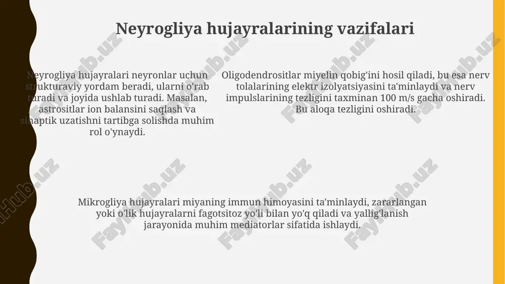 neyrogliya hujayralarining xillari va funksiyalari - Page 5