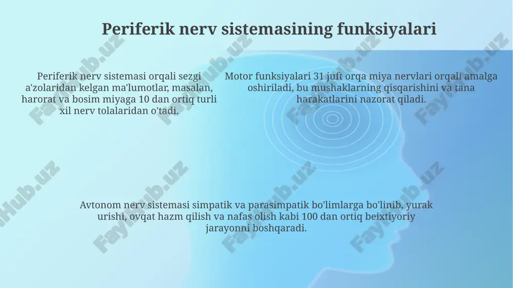 periferik nerv tizimi haqida umumiy ma'lumot - Page 5