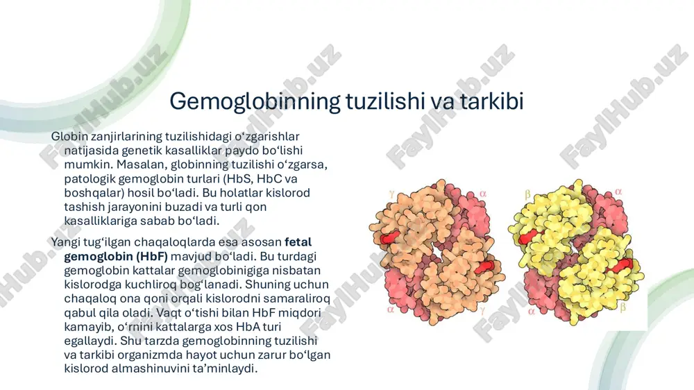 hi mumkin. eng ko‘p uchraydigan turi — temir tanqisligi anemiyasi, bunda organizmda gem sintezi uchun zarur bo‘lgan temir yetishmaydi. bemor tez charchaydi, terisi oqaradi, yurak tez uradi, nafas qisadi. shuningdek, vitamin b₁₂ va folat yetishmasligi natijasida ham gemoglobin kamayadi, bu holat megaloblast anemiyasi deb ataladi. ayrim hollarda esa eritrotsitlar muddatidan oldin parchalanadi, bu gemolitik anemiya deb ataladi. u irsiy kasalliklar, zaharlanishlar yoki infeksiyalar oqibatida yuz beradi. yana bir og‘ir tur — aplastik anemiya, bunda suyak iligi faoliyati pasayadi va yangi qon hujayralari hosil bo‘lmaydi. kasalliklari qiziqarli faktlar 1.qon guruhi odamning fe’l-atvoriga ta’sir qiladi degan ishonch bor! yaponiyada, masalan, odamlar ishga kirishda yoki turmush qurishda hatto qon guruhini ham so‘rashadi. ularning fikricha, masalan, o (i) guruhi – liderlik, a (ii) – tartibsevarlik, b (iii) – ijodkorlik, ab (iv) – noodatiy fikrlash belgisi. 2. qon guruhi yurak kasalliklariga moyillikka ta’sir qiladi. tadqiqotlarga ko‘ra, o guruhi odamlarda yurak xuruji xavfi eng past bo‘ladi. …