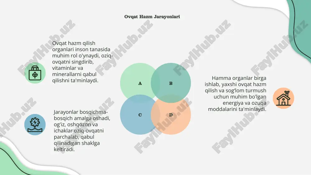 ovqat hazm qo‘shiladigan organlar - Page 5