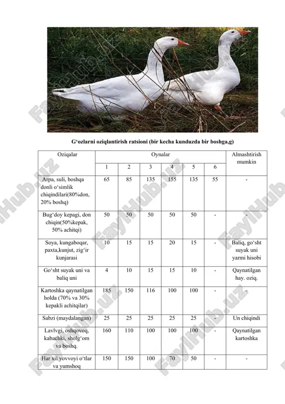 hirali aralashma oziqlar bilan oziqlantirilishi kerak. yaxshi yaylovlarda 1,5-2 oylik jo‘jalar kuniga 1-1,5 kg gacha, 3-5 oyligida esa 2 kg gacha o‘t eydi. quruq oziqalar bilan oziqlantirilganda yoshiga qarab har bir bosh jo‘jaga 4- 10 sm, oxurcha va 2-3 sm li suvdonlar bo‘lishi kerak. image1.jpeg image2.jpeg /docprops/thumbnail.wmf mavzu : o‘rdak va g‘oz go‘shti va tuxumini ishlab chiqarish xususiyatlari darsning maqsadi: o‘rdak va g‘oz go‘shti va tuxumini ishlab chiqarish xususiyatlari o‘rdaklarni saqlash, asrash, o‘stirish va oziqlantirishga alohida e’tibor berish zarur. o‘rdak jo‘jalarini va saqlanadigan xonalar binasi quruq, yorug‘, issiq va sof havo bilan ta’minlash uchun sharoitlari bo‘lishilozim. bino devorlari quyuq ohak bilan oqlangan, har xil hashoratla, kemiruvchilardan xolos bo‘lishi uchun xlor, xloramin, formalin yoki kausticheskiy sodasining 2% li eritmalari bilan zararlantiriladi. to‘shamalar 8 - 10sm qalinlikda to‘shalishi kerak. bino ichida 1 m kv yuzaga 10 - 12bosh o‘rda kchalar joylashtirish, katakli qafasda esa 20 bosh ma’qul hisoblanadi. maxsus zanglamaydigan temir tunukadan …