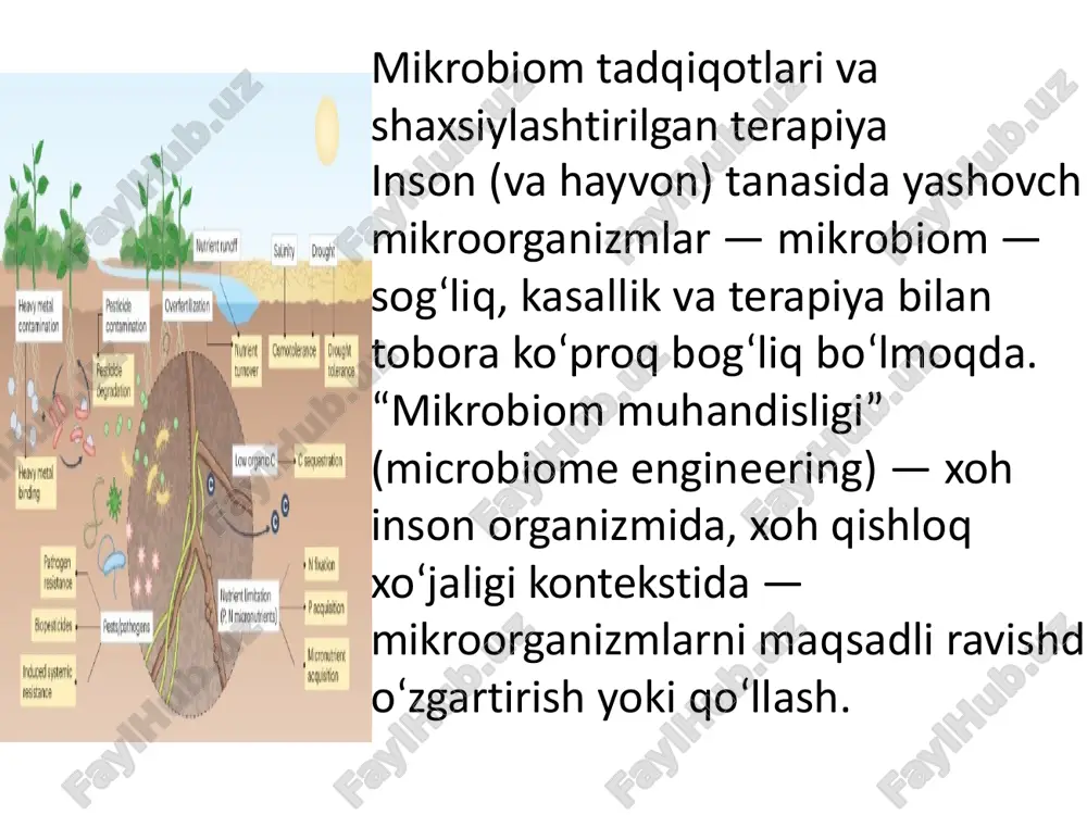 hozirgizamonmikrobiologiyasirivojlanishiningustuvor yõnalishlari - Page 5
