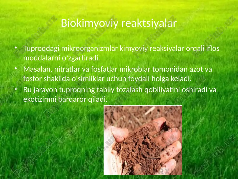 tuproqni o‘zini tozalash jarayonlari - Page 5