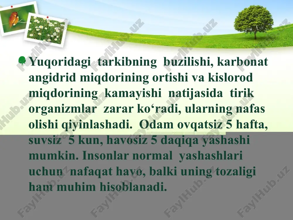 qatlami insonlar va barcha jonzotlarni quyoshning qisqa to‘lqinli ultrabinafsha nurlanishidan himoya qiluvchi ekran vazifasini o‘taydi. galogenli uglevodorodlar (xlorftoruglerodlar, galonlar, tetraxlormetan, metil bromid) ozonni buzuvchi moddalar hisoblanadi. ozonning siyraklashuvi teri saratoni, immunotizimning kuchsizlanishi va pardali katarakta, o‘simliklar jarohati, shu jumladan, o‘simliklar hosildorligining pasayishi, plankton va fitoplankton singari dengiz hayvon turlari xilma-xilligining qisqarishi kabi salomatlik va ekologik muammolarning ortishiga olib keladi. 1987 - yilning 16-sentabrida ozon qatlamini yemiruvchi moddalar bo‘yicha monreal protokoli ishlab chiqilgan. ushbu sana har yili xalqaro ozon qatlamini himoya qilish kuni sifatida nishonlanadi. o‘zbekiston respublikasi prezidenti i.a.karimov tomonidan 2006 - yilning 7-sentabrida o‘zbekiston respublikasining “ozon qatlamini buzuvchi moddalar bo‘yicha monreal protokoliga tuzatmalarni (monreal, 1997-yil, 17-sentabr) ratifikatsiya qilish to‘g‘risida” gi va “ozon qatlamini buzuvchi moddalar bo‘yicha monreal bayonnomasiga tuzatmalar (pekin, 1999-yil, 3-dekabr) ni ratifikatsiya qilish to‘g‘risida” gi qonunlar imzolandi. avtomobil transporti havoning ifloslanishida katta o‘rin egallaydi. avtotransportdan chiqadigan gazlar tarkibida zararli moddalar mavjud. atrof-muhitga is gazi (oltingugurt) va azot birikmalari …