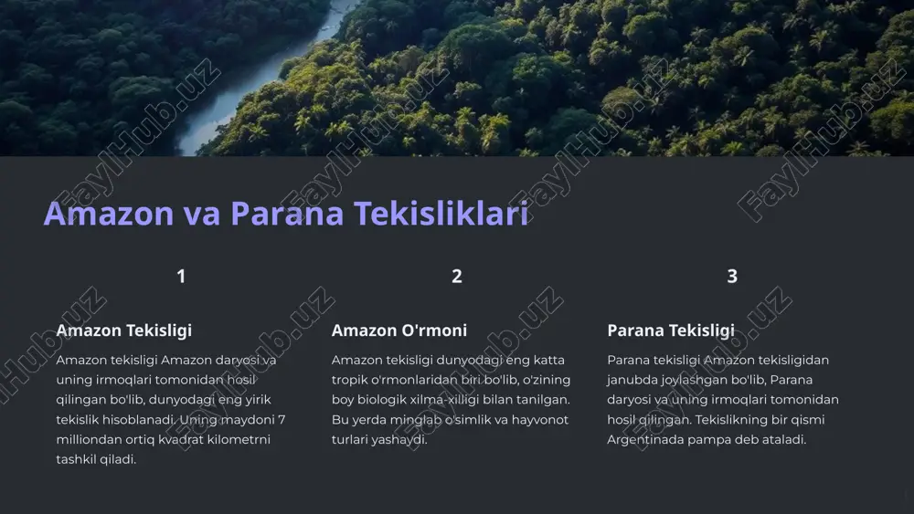 janubiy amerika materigi relyefi va orografiyasi - Page 5