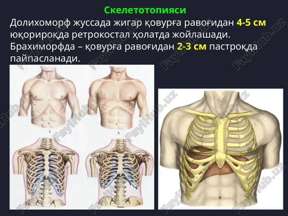 .xml ppt/slidelayouts/slidelayout17.xml ppt/slidelayouts/slidelayout20.xml ppt/slidelayouts/slidelayout18.xml ppt/media/image40.png ppt/media/image41.png ppt/media/image36.png ppt/media/image35.png ppt/media/image34.png ppt/media/image29.jpeg ppt/media/image30.png ppt/media/image32.gif ppt/media/image33.png ppt/media/image42.png ppt/media/image43.png ppt/media/image52.png ppt/media/image53.png ppt/media/image54.png ppt/media/image51.png ppt/media/image50.png ppt/media/image46.png ppt/media/image47.png ppt/media/image27.jpeg ppt/media/image26.jpeg ppt/media/image6.jpeg ppt/media/image7.png ppt/media/image8.png ppt/media/image9.png ppt/media/image10.png ppt/media/image5.jpeg ppt/media/image4.jpeg ppt/theme/theme2.xml ppt/theme/theme1.xml ppt/media/image1.png ppt/media/image2.png ppt/media/image3.png ppt/media/image11.png ppt/media/image13.jpeg ppt/media/image21.jpeg ppt/media/image24.jpeg ppt/media/image25.jpeg ppt/media/image20.jpeg ppt/media/image19.jpeg ppt/media/image18.jpeg ppt/media/image14.jpeg ppt/media/image15.jpeg ppt/media/image93.png ppt/media/image67.png ppt/media/image68.png ppt/media/image86.png ppt/media/image83.png ppt/media/image74.png ppt/media/image75.png ppt/tags/tag1.xml _rels/.rels ppt/media/image183.png ppt/media/image191.png ppt/media/image221.png ppt/media/image203.png ppt/media/image132.png ppt/media/image238.png ppt/media/image175.png ppt/media/image165.png ppt/media/image211.png ppt/media/image157.png ppt/media/image228.png ppt/media/image177.png ppt/media/image231.png ppt/media/image181.png ppt/media/image201.png ppt/media/image159.png ppt/media/image193.png ppt/media/image226.png ppt/media/image213.png ppt/media/image217.png ppt/media/image242.png ppt/media/image225.png ppt/media/image196.png ppt/media/image209.png ppt/media/image234.png ppt/media/image179.png ppt/media/image136.png ppt/media/image232.png ppt/media/image219.png ppt/media/image215.png ppt/media/image236.png ppt/media/image206.png ppt/media/image142.png ppt/media/image223.