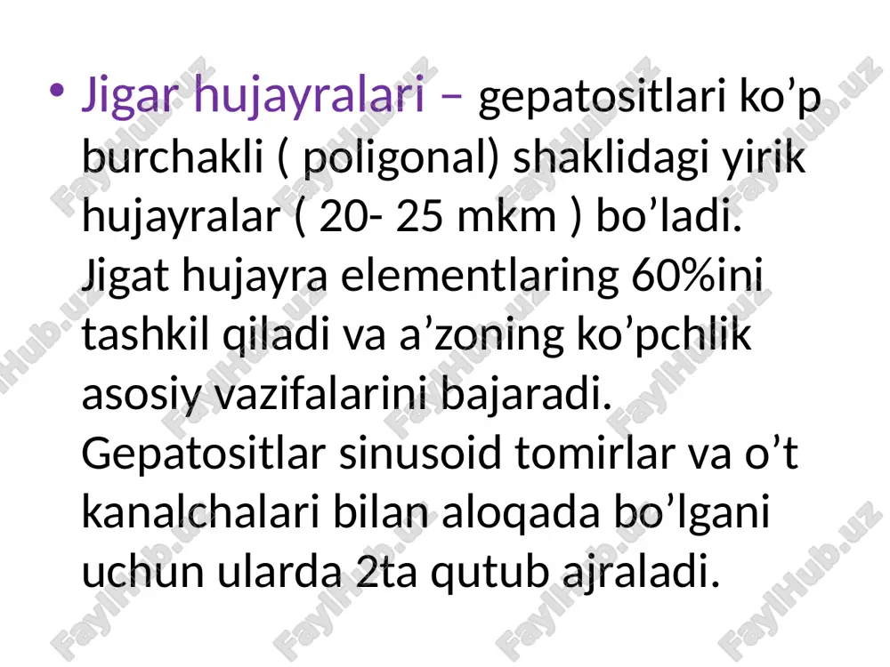 jigar gistalogiyasi - Page 5