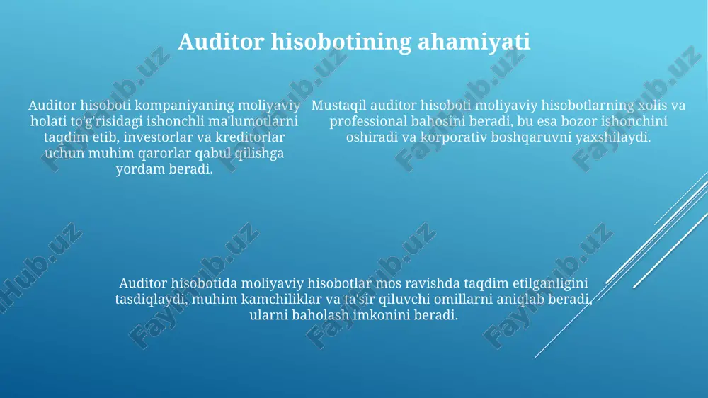 mustaqil auditorlik hisoboti - Page 5