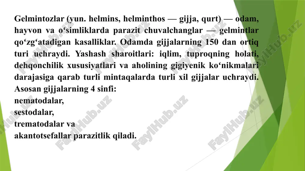 gelmintlar-odamparazitlari - Page 5