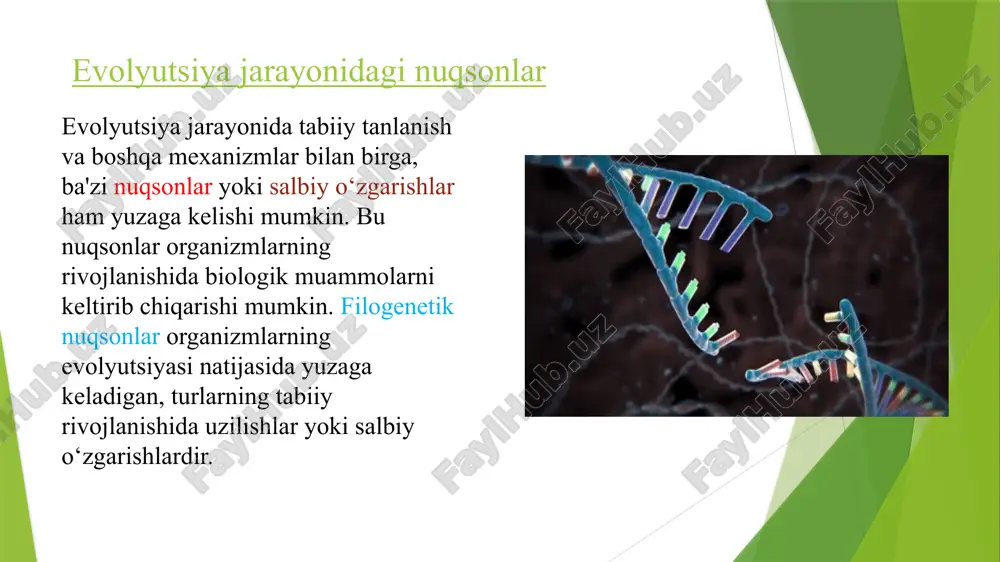 olligi yoki ekspresiyasi o'zgarishi. epigenetik mutatsiyalar fiziologik xususiyatlarni va organizmning reaktsiyalarini o'zgartirishi mumkin. fiziologik mutatsiyalar nevrologik mutatsiyalar — bu nerv tizimi, jumladan miyaga ta'sir etadigan genetik o'zgarishlar yoki mutatsiyalarni anglatadi. bu mutatsiyalar nerv tizimining normal rivojlanishi, ishlashi va tuzilishiga ta'sir qiladi. nevrologik mutatsiyalar bir qator nevrologik kasalliklar va holatlarning rivojlanishiga olib kelishi mumkin. nevrologik mutatsiyalar quyidagi jihatlarga ta'sir qilishi mumkin: 1. genetik mutatsiyalar va nevrologik kasalliklar genetik mutatsiyalar ko'pincha nevrologik kasalliklarning paydo bo'lishiga olib keladi. bunday mutatsiyalarni ko'plab irsiy kasalliklar bilan bog'lash mumkin. misollar: 2. nevrologik mutatsiyalar va rivojlanishning buzilishi ba'zi nevrologik mutatsiyalar bola rivojlanishidagi kechikishlarga yoki kognitiv va motor funktsiyalarining o'zgarishlariga olib kelishi mumkin. 3. epigenetik o'zgarishlar va nevrologik ta'sirlar epigenetik o'zgarishlar, ya'ni gen ekspressiyasining o'zgarishi, nevrologik tizimning ishlashiga ta'sir ko'rsatishi mumkin. atrof-muhit omillari, masalan, stress, toksinlar yoki oziqlanishning yomonligi, genetik materialning ekspressiyasiga ta'sir qilishi va nevrologik kasalliklarning yuzaga kelishiga olib kelishi mumkin. nevrologik mutatsiyalar odamzodda rivojlanishdagi filogenetik nuqsonlar …