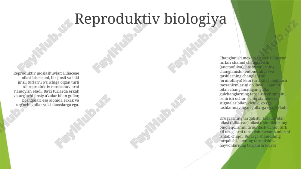 - tuproq eroziyasini nazorat qilish va ozuqa moddalarining aylanishini nazorat qilish orqali ekotizim muvozanatini saqlashda muhim ahamiyatga ega yashash joyi afzalligi: loladoshlar oilasi (liliaceae)- dunyo boʻylab moʻʼtadil va subtropik mintaqalarda keng tarqalgan.- turli yashash joylarida, jumladan, oʻtloqlar, oʻrmonlar, oʻrmonzorlar, botqoqliklar va tosh yon bagʻirlarida uchraydi.- baʼzi turlari alp oʻtloqlari kabi oʻziga xos yashash muhitiga moslashgan. yoki qirg'oq qumtepalari. iqlim talablari: loladoshlar oilasi (liliaceae)- iqlimning keng doirasiga chidamli, lekin mo''tadil yoki subtropik sharoitlarni afzal ko'radi.- qisman soya va yaxshi qurigan tuproq uchun keng quyosh nurini talab qiladi.- ba'zi turlari qurg'oqchilikka chidamli, boshqalari nam yashash joylarini afzal ko'radi. . tuproqqa bo'lgan talablar o'simliklar oralig'i: to'g'ri o'sish va havo aylanishini ta'minlash uchun o'simliklar orasidagi 9-12 dyuymli masofani saqlang. tuproq ph: loladoshlar oilasi (liliaceae) ph 6,0 dan 6,5 gacha bo'lgan yaxshi drenajlangan, ozgina kislotali tuproqni afzal ko'radi. og'ir loy yoki gidroksidi tuproqlarda ekishdan saqlaning. o'g'itga qo'yiladigan talablar: zambaklar o'sish boshlanishidan oldin bahorda 10-10-10 aralashmasi …