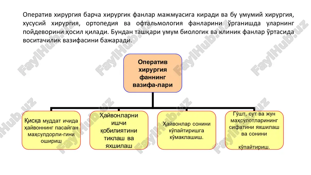 xar bir hayvonga individual yondoshish kerak. nerv sistemasining tipi 4 ga bo'linadi: xolerik – qo'zg'aluvchan; sangvinik-xarakatchan; flegmatik befarq; melanxolik nimjon. buni hayvonni fiksatsiya qilish vaqtida va podalarni tashqil qilish vaqtida e'tiborga olish lozim. tik holatda yotgan holatda hayvonlarni fiksatsiya qilish usullari otlarni tik xolatda fiksatsiya qilish • yuqori labiga burama solish; • oyoqlarini ko'tarib turish; • qulog'iga burama solish; • stanokka bog'lash otlarni yiqitish usullari • ruscha usul • nemischa usul • reshyatnikov usuli • frantsuzcha usul qoramollarni tik holatda fiksatsiya qilish qoramollarni yiqish usullari • gess usuli. • kavkazcha usul. • italyancha usul boshqa hayvonlarni fiksatsiya qilish usullari