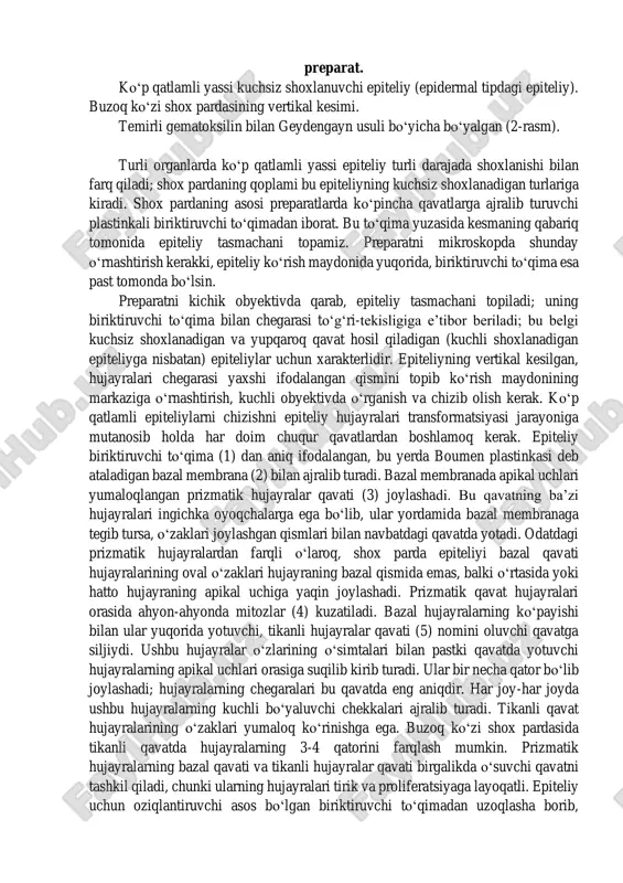 siljiydi. ushbu hujayralar oʻzlarining oʻsimtalari bilan pastki qavatda yotuvchi hujayralarning apikal uchlari orasiga suqilib kirib turadi. ular bir necha qator boʻlib joylashadi; hujayralarning chegaralari bu qavatda eng aniqdir. har joy-har joyda ushbu hujayralarning kuchli boʻyaluvchi chekkalari ajralib turadi. tikanli qavat hujayralarining oʻzaklari yumaloq koʻrinishga ega. buzoq koʻzi shox pardasida tikanli qavatda hujayralarning 3-4 qatorini farqlash mumkin. prizmatik hujayralarning bazal qavati va tikanli hujayralar qavati birgalikda oʻsuvchi qavatni tashkil qiladi, chunki ularning hujayralari tirik va proliferatsiyaga layoqatli. epiteliy uchun oziqlantiruvchi asos boʻlgan biriktiruvchi toʻqimadan uzoqlasha borib, epiteliy hujayralari asta-sekin shoxlana boshlaydi va bunday hujayralar hisobiga shoxlanayotgan hujayralar qavati (6) hosil boʻladi. buzoq shox pardasining bu qavatida 8-10 qator sanash mumkin. shoxlanayotgan qavatning chuqur joylashgan biroz yalpoqlashgan shakldagi hujayralarida hali yumaloq, lekin piknoz (7) (oʻzak bujmaygan va kuchli boʻyaladi) belgilari bor oʻzaklar saqlanib qolgan. tashqariga tomon hujayralar yassilana boradi. oʻzaklar ham yassilanadi, ulardagi xromatin yanada kondensatsiyalanadi, oʻzak qoramtir, kuchli boʻyaluvchi tayoqcha koʻrinishini …
