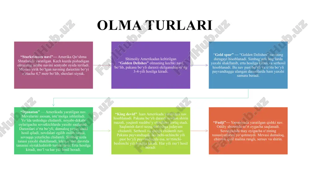 olmamevasining xususiyatlari - Page 5