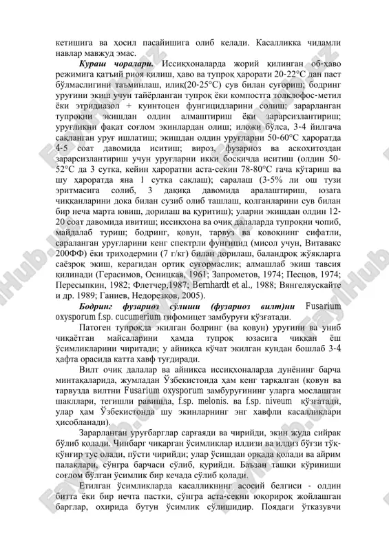 xysporum zamburug'ining ularga moslashgan shakllari, tegishli ravishda, f.sp. melonis. va f.sp. niveum qo'zg'atadi, ular ham o'zbekistonda shu ekinlarning eng xavfli kasalliklari hisoblanadi). zararlangan urug'barglar sarg'ayadi va chiriydi, ekin juda siyrak bo'lib qoladi. chinbarg chiqargan o'simliklar ildizi va ildiz bo'g'zi to'q- qo'ng'ir tus oladi, po'sti chiriydi; ular o'sishdan orqada qoladi va ayrim palaklari, so'ngra barchasi so'lib, quriydi. ba'zan tashqi ko'rinishi sog'lom bo'lgan o'simlik bir kechada so'lib qoladi. etilgan o'simliklarda kasallikning asosiy belgisi - oldin bitta ѐki bir nechta pastki, so'ngra asta-sekin yuqoriroq joylashgan barglar, oxirida butun o'simlik so'lishidir. poyadagi o'tkazuvchi to'qimalar, ayniqsa ildiz bo'g'zida, yaqqol ko'rinadigan kumush-oq tusli iplar shaklini oladi. ularning ildizi ѐki ildiz bo'g'zi qiya kesilsa, suv o'tkazuvchi tomirlarida to'q-sariq ѐki qizg'ish-qo'ng'ir dog'larni ko'rish mumkin. keyinchalik poyada baroq oq mitseliy rivojlanadi. o'simlik nobud bo'lgach, mitseliy asta-sekin och- pushti, so'ngra qizil tus oladi. qo'zg'atuvchi zamburug'lar mavsumdan mavsumga o'simlik qoldiqlari, tuproq va urug' orqali o'tadi, tuproqda xlamidosporalari ѐrdamida ko'p yillar davomida …