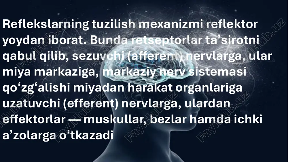 reflekslar haqida tushuncha - Page 5