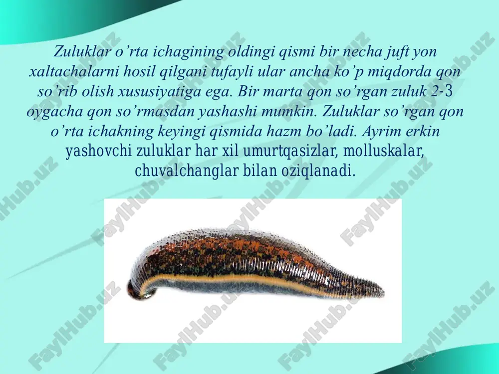 tibbiyot zulugi - Page 5
