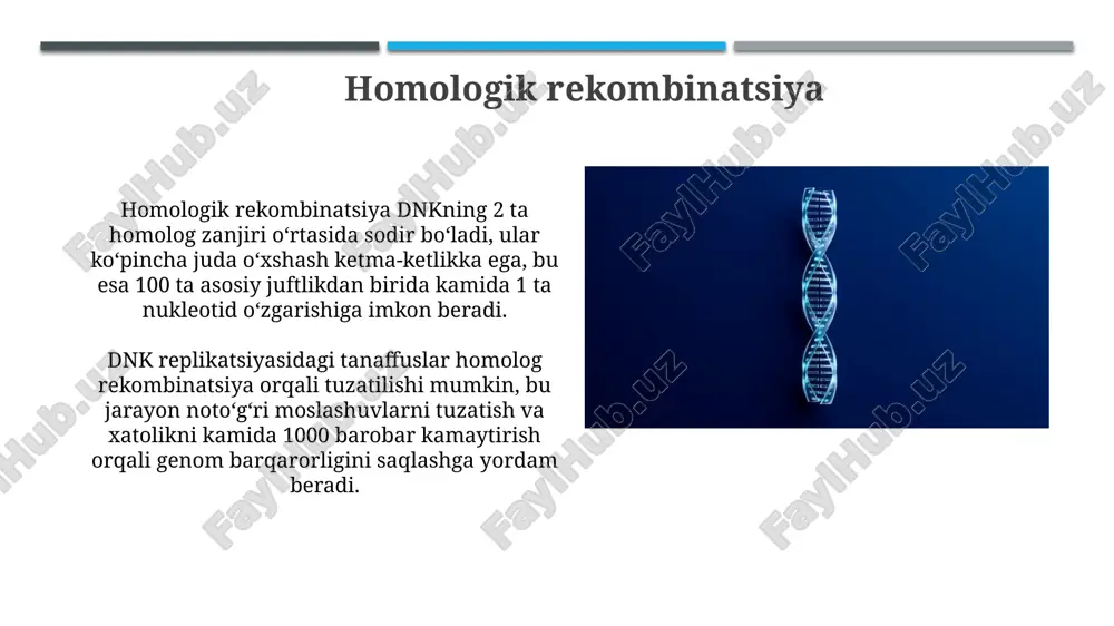 dnk rekombinatsiyasi - Page 5
