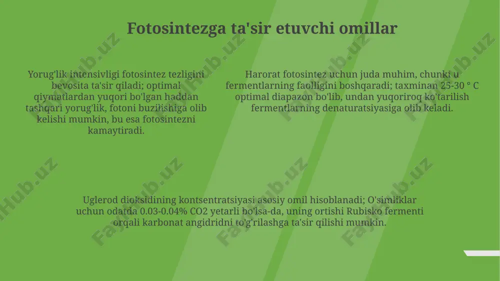 fotosintez - Page 5