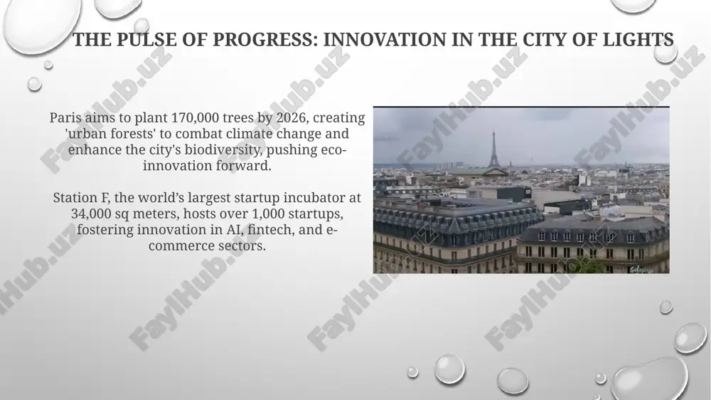 paris: bridging centuries - Page 5