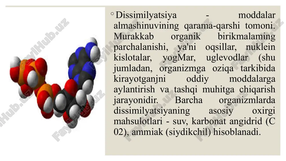 moddalar almashinuvining umumiy qonuniyatlari - Page 5