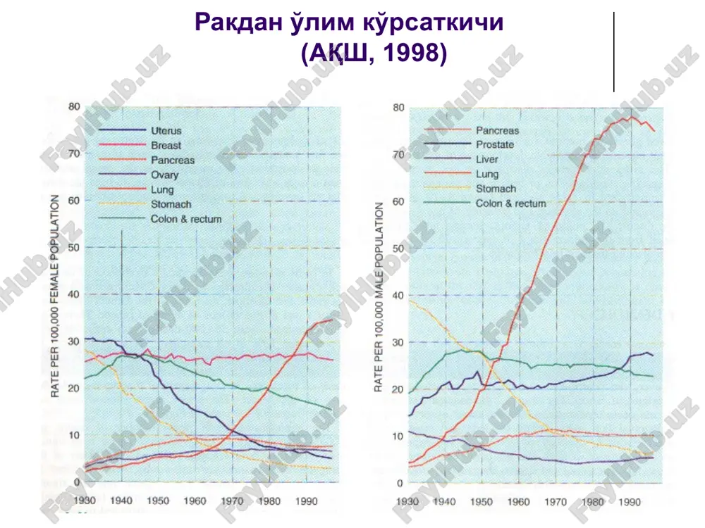 kletki iz fazi go ili gi v mitoz r53 kantserogenezda o'rni ma'lumki, r53, rb kabi, dnk replikatsiyasini, xujyara proliferatsiyasini va o'limini nazorat qiluvchi yadroviy fosfoproteid xisoblanadi. aynan bular, genetik shikastlangan xuyjayralarning tarqalishiga to'sqinlik qiladi degan taxmin bor. normada bu genning biologik yashash yarimdavri xujayra tsiklida daqiqalar davomida kechadi, ammo uning xujayra bo'linishida qatnashganligi to'g'risida isbotlar yuq. lekin xujayra mutagen ta'sirga uchragandagina uzining posttranslyatsion modifikatsiyasi orqali stabilizatsiyalanadi va yadroda to'planadi. apoptozni boshqaruvchi genlar bsl-2 genida funktsiyasi bilan birgalikda joylashuvi xam o'zgacha: mitoxondriylarning ichki membranasida, yadro qobig'ida, endoplazmatik to'rning tsisternalarida. ko'p xolatlarda apoptoz kislorodning reaktiv shakli bilan chaqirilgan letal shikastlanish natijasida rivojlanadi, bsl-2 esa antioksidant tizimni boshqarish orqali apoptozni tuxtatadi. ko'p bosqichli kantserogenezni molekulyar asoslari xavfli o'smalar bosqichma-bosqich rivojlanadi: ximiyaviy kantserogenez bir necha bosqichda kechadi – initsiatsiya xujayralar genomining o'smalarga transformatsiyalanishini boshlanishi, promotsiya – o'sma fenotipini amalga oshishi va o'smalar o'sish jarayonini progressiyalanishi. onkogenlar va supressor genlar to'g'risidagi ta'limotni paydo bo'lishi, kantserogenezni …