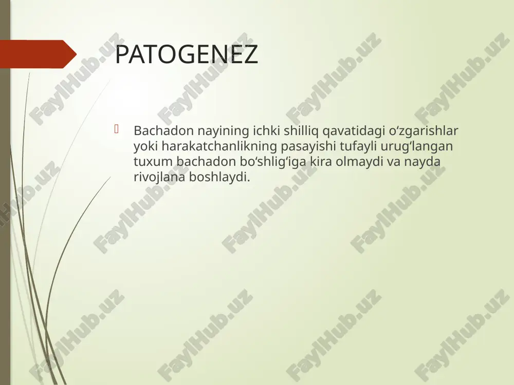 ginekologiyada_otkir_qorin_25bet - Page 5