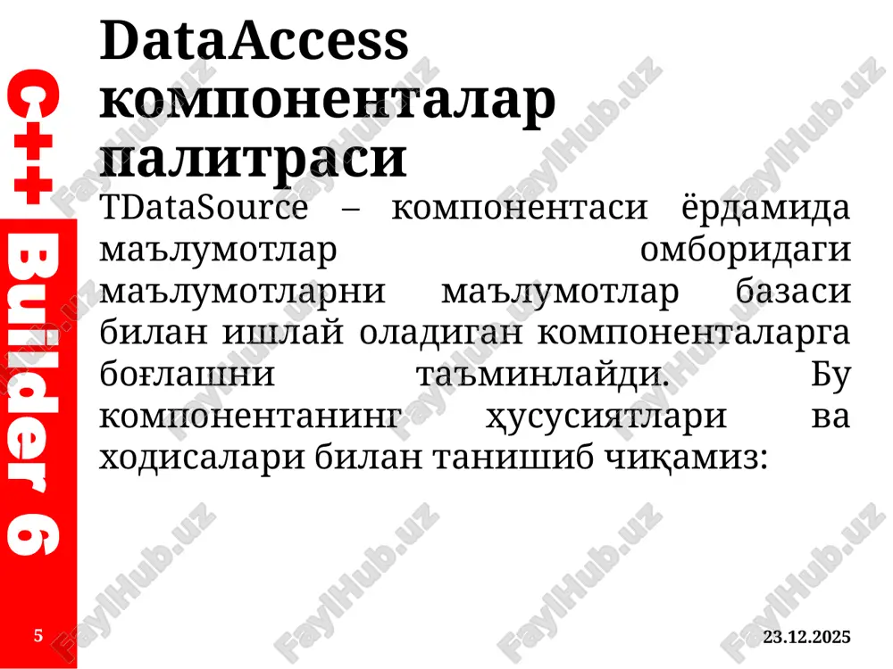 dataaccess, datacontrols, dbgo i ado komponentalari palitrasi - Page 5