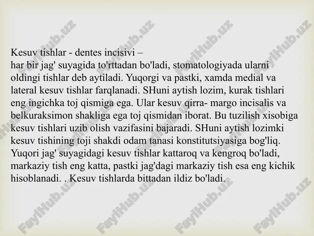 sa, ular ildiz uchida birlashib umumiy kanal hosil qiladi. tish barcha belgilarini farqlash qiyin. ikkinchi premolyarning umumiy uzunligi- 20-21 mm, toj qismi uzunligi – 7,5-8 mm, ildiz uzunligi – 12-14mm, medio-distal kesimi kengligi – 6,5 mm, vestibulo-tanglay kesimi – 8,9 mm. pastki birinchi oziq kichik tishi – yuqorgi premolyar tishlarga nisbat toj kismi kichikroq, ammo ildizi ancha uzun. shakli va xajmi bilan qoziq tishga o'xshab ketadi. vestibulyar yuzasida ikkita dumboqni ajratish mumkin: vestibulyar va oral (til). vestibulyar yuzasida uchta bolish mavjud. tishning toj qismi til tarafga egilgan.bu tish bir ildizli va ko'ndalang kesimda bitta kanalga ega. tish ildiz belgisi yaqqol ko'rinadi. pastki birinchi premolyarning umumiy uzunligi- 22 mm, toj qismi uzunligi – 8-8,5 mm, ildiz uzunligi – 12-13mm, medio-distal kesimi kengligi – 6,8 mm, vestibulo-tanglay kesimi – 7,6 mm. pastki ikkinchi kichik oziq tishi – birinchi premolyarga o'xshash bo'lgani bilan, bir muncha farqalari bor. bu tish birinchi premolyardan kattaroq, til …