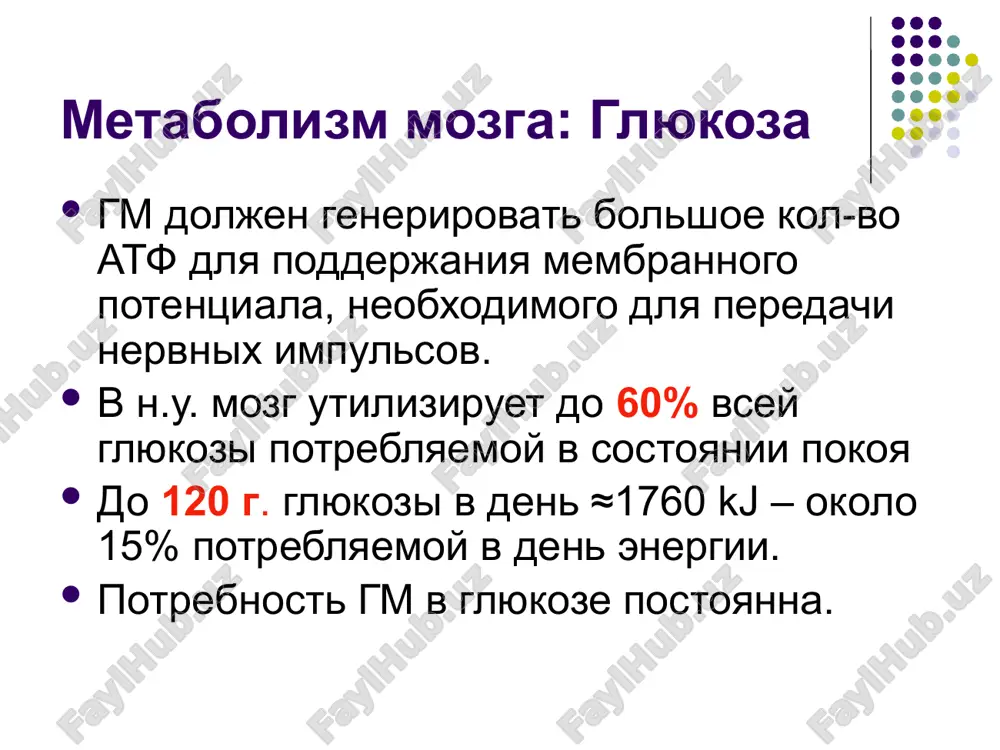 bioximiya nervnoy sistemi - Page 5