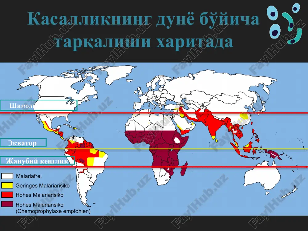 si faoliyatining umumiy buzilishi o'z vaqtida davo choralari ko'rilmagan taqdirda letal xolatga olib keladi . diagnostika immunoxromotografik usul (ekspress) immunoferment usul (ifa) mikroskopik usul mikroskopik usul bu usul 2 xil yo'l bilan amalga oshiriladi yupqa surtma yo'g'on tomchi olingan surtmalar romanovskiy gimza usulida bo'yaladi va mikroskopda ko'riladi. romanovskiy gimza bo'yog'i romanovskiy gimza bo'yog'i – murakkab tarkibli modda hisoblanib, reaktsiyaga kirishish natijasidan 2 hil rang (ph darajasiga qarab) xosil qiladi : ishqoriy muhitga ega bo'lgan moddalarni ko'k rangacha kislotali muxitga ega bo'lgan moddalarni qizil rangacha eritrotsit hujayralari kuchsiz ishqoriy muxitga ega bo'lganligi sababli och qizg'ish rang plazmodiy membranasi va tsitoplazmasi kuchsiz ishqoriy bo'lganligi (lekin ph turlicha) sababli qizg'ish , yadrosi kuchsiz kislotali muxitga ega bo'lganligi yuqori sababli ko'k rangga bo'yaladi . bo'yoqda bo'yalgan holati plazmodiylarning eritrotsit hujayrasida turli ko'rinishi plazmodiylarning mikroskopda ko'rinishi pl.falciparum pl.vivax pl.ovale pl.malaria parazitemiya darajasini baxolash plazmodiyning xayotiy tsiklining davom etishi eritrotsitlarda shizogoniya yo'li bilan ko'paygan plazmodiylar 2 …