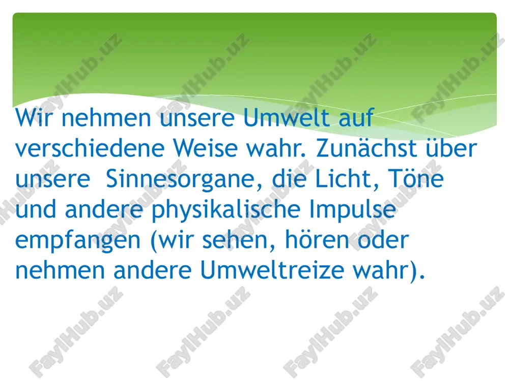 interkulturelle missverständnisse - Page 5