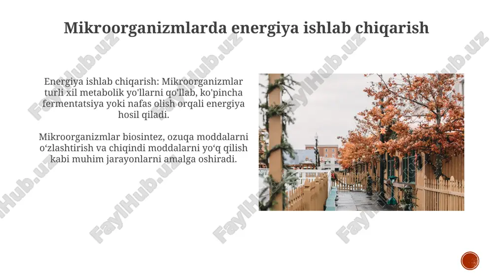 mikroorganizmlarda moddalar almashinuvi - Page 5